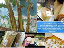 Anda Bisa Tercengang Akan Manfaat Jus Batang Pisang