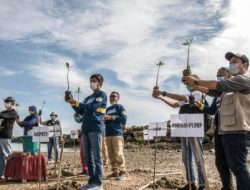 Bukti Pelaku Industri Peduli Pentingnya Mangrove Bagi Lingkungan – Peristiwa