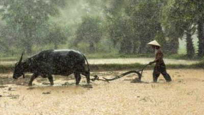 Jejak Lumpur Sawah dari Kaki Anak Muda Bernama Beri Tohari – Humaniora