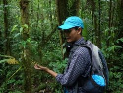 Kenapa Pengembangan Geothermal di Kawasan Gede-Pangrango Ditolak? – Viral