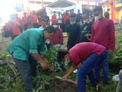 Wujudkan Pengurangan Resiko Bencana Alam dengan Penanaman Pohon – Peristiwa