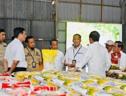 Esai Foto Presiden Tinjau Ketersediaan Stok Beras Gudang Bulog Batangase, Kabupaten Maros, Provinsi Sulawesi Selatan