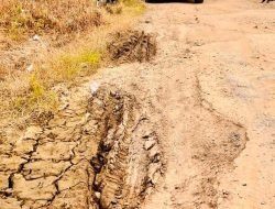 Mobil Presiden Indikatornya Menyala Gegara Jalan Lampung