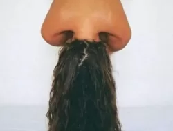 Kejuaraan Seks Eropa Dimulai Hari Ini, Benarkah?