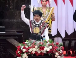 Dinamika Politik dan Pernyataan Kontroversial Presiden Jokowi, Tentang Pak Lurah